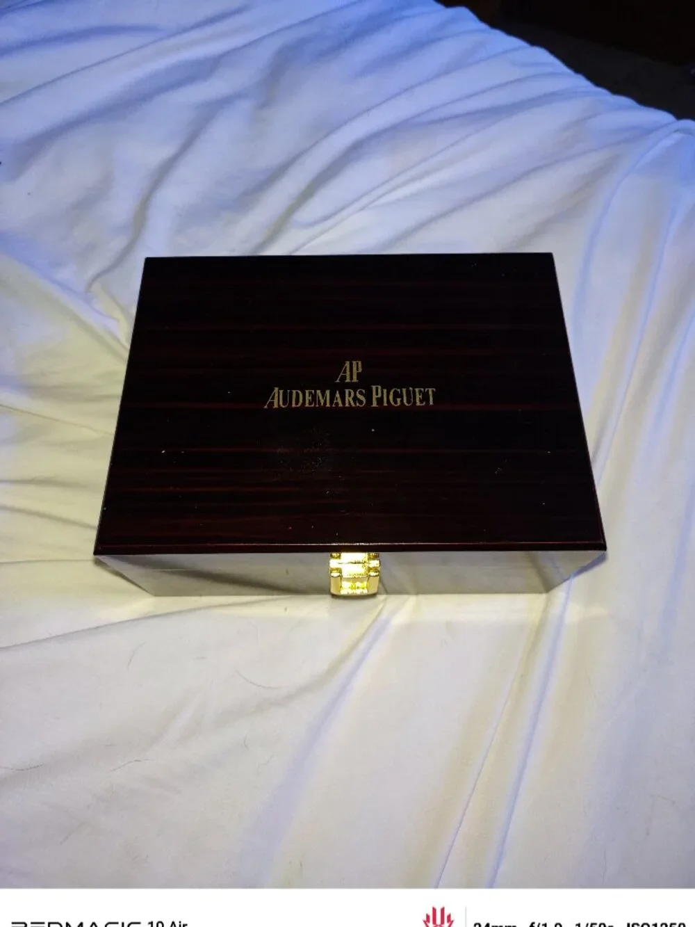 Audmars Piguet RP Moissanite flooded